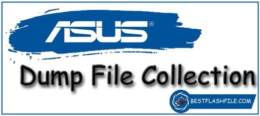 Asus Dump File