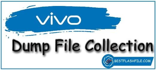 Vivo Dump File