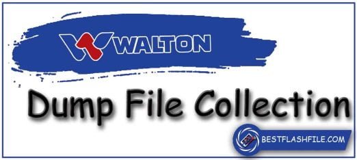 Walton Dump File