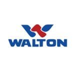 Walton HM Mini Dump File Dead Boot Repair File Download