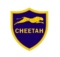 Cheetah Tool Pro download