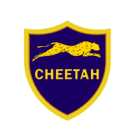 Cheetah Tool Pro v2024,05,27,105 - (Latest Version) Download
